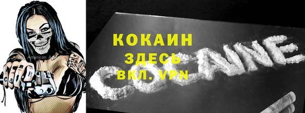 СК Сафоново