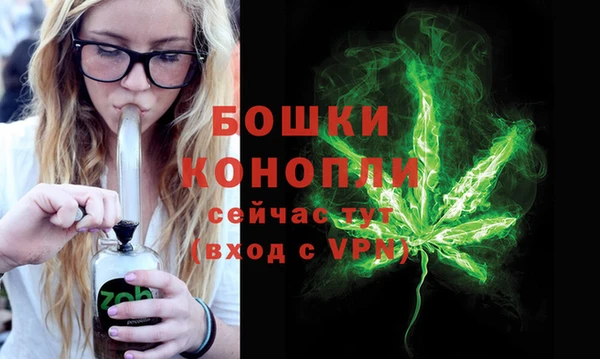 дурь Рославль