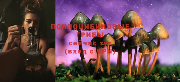 марихуана Саяногорск